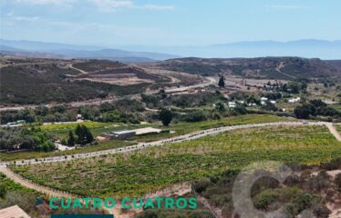 Cuatro Cuatros | Ensenada