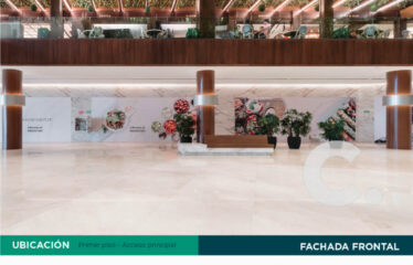 Plaza comercial CITY 32: primer piso – acceso principal