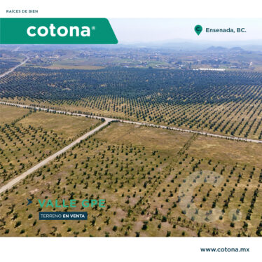 Rancho Olivares – Valle Guadalupe