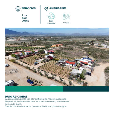 Santerra – Valle Guadalupe