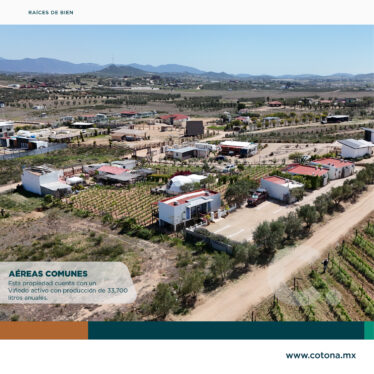 Santerra – Valle Guadalupe