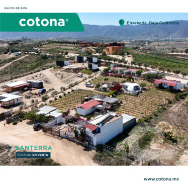 Santerra – Valle Guadalupe